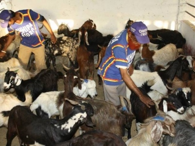 Ijtamai Qurbani 2013