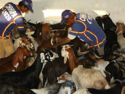 13742243596175808392661618189892njpg-a8c1c995fb29e1466c58c0b5a34e70af