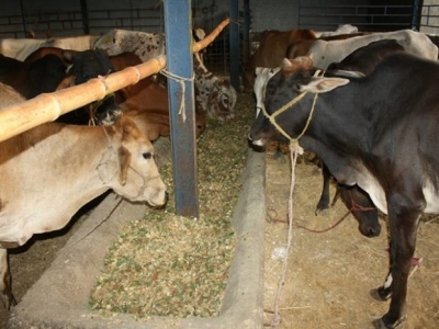 1377428359616680839356527668750njpg-6cba548a5993a52442f43d04380b8a2a