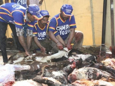 1377580359617220839302630896343njpg-20abda9ffd8a63b31bed2fc3138ec72b