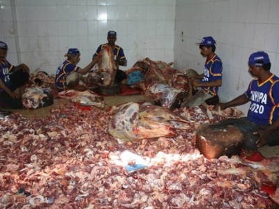 1377967359617384172619654777048njpg-e9fa935678d620c5b71871f251db7fea