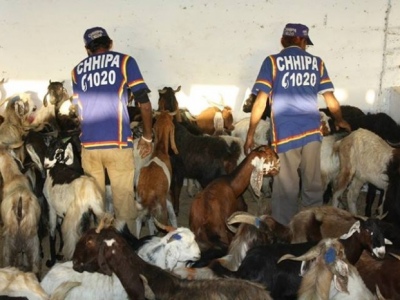 1378367359617490839275957085803njpg-1b144e1d9747af49f2438d9ea49fe5e9