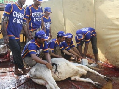 1378427359616920839332212562933njpg-6cd837b1decda376569471d7d39fbd76