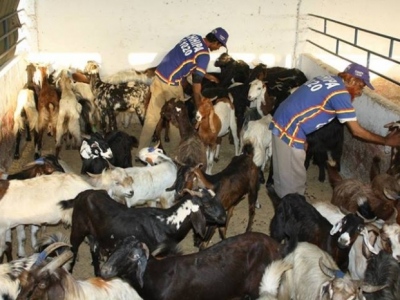 1378567359617594172598155439777njpg-7aafe5d7cb34c10058179e8610bc9675