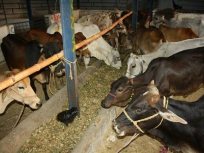 13797363596167441726832117824521njpg-14f33dc04b5c34c1a687c7b1fd2a7d4a