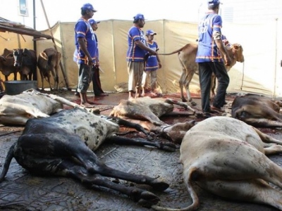 13797503596168275060081092918941njpg-e8ab6ab4f639dabd72d2d95afb42bc4a