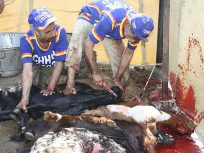 13801933596171175059791230076142njpg-bce4246cdac1a7b663839b68390d85e5