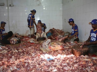 13829633596173908392851788545504njpg-f8d9f32750293c7f4b3e331166933365