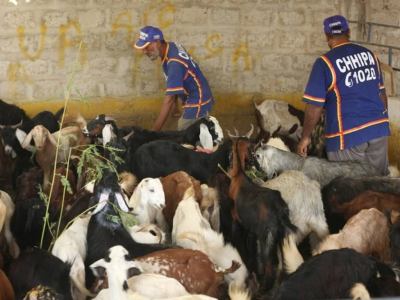 Ijtamai Qurbani 2015