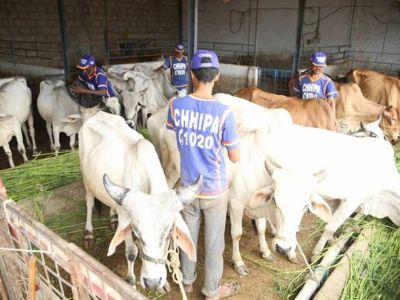 Ijtamai Qurbani 2016