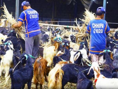 Ijtamai Qurbani 2017