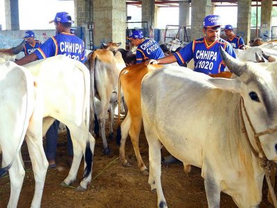 Ijtamai Qurbani 2018